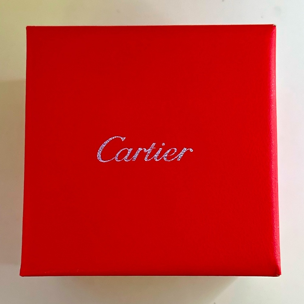 Cartier Santos De Cartier WSSA0030
Large Blue Dial Stainless Steel